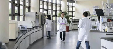 安利植物研发中心联合中国中医科学院中药研究所宣布, 我国率先完成菊花全基因组测序工作