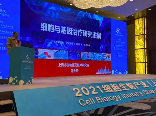 全球基因治疗行业快速升温,上海集中全国三分之一细胞治疗领域研发企业